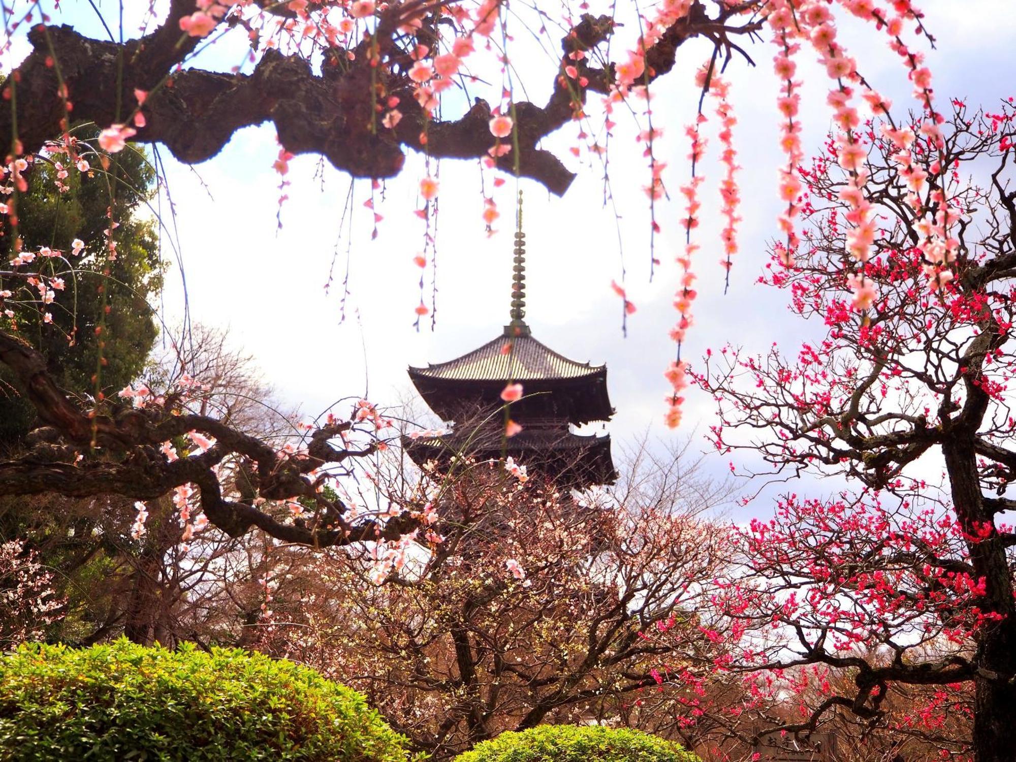 Stay Sakura Kyoto Higashi Hongan-Ji I Quioto Exterior foto